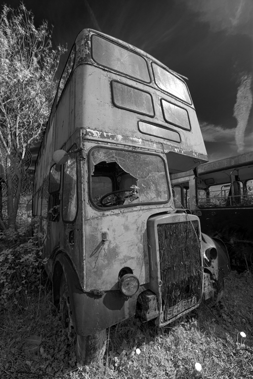 bus-3_hdr2