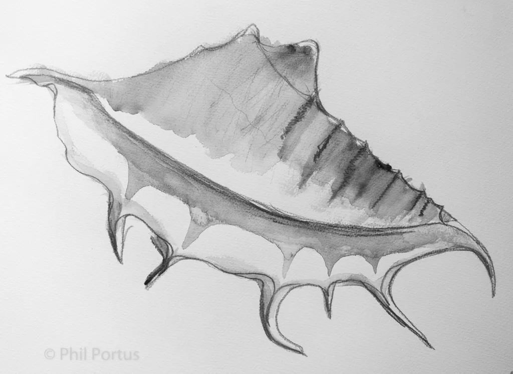 A black and white watercolor painting shows a stylized leaf with jagged edges and curving tendrils.