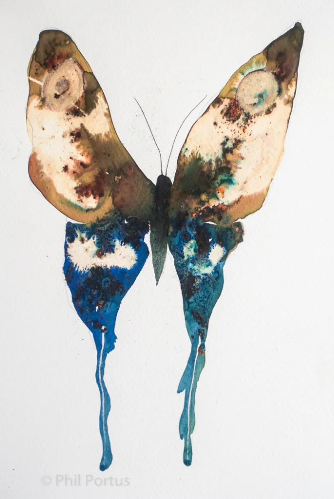 A watercolor painting portrays a butterfly with brown and blue wings that drip downwards.