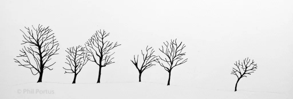 Black and white drawing shows four bare trees in a row against a plain background.