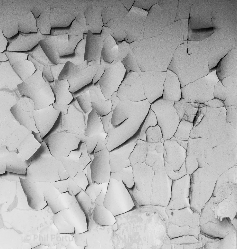 Black and white close-up shows a wall surface covered in cracked and peeling paint.