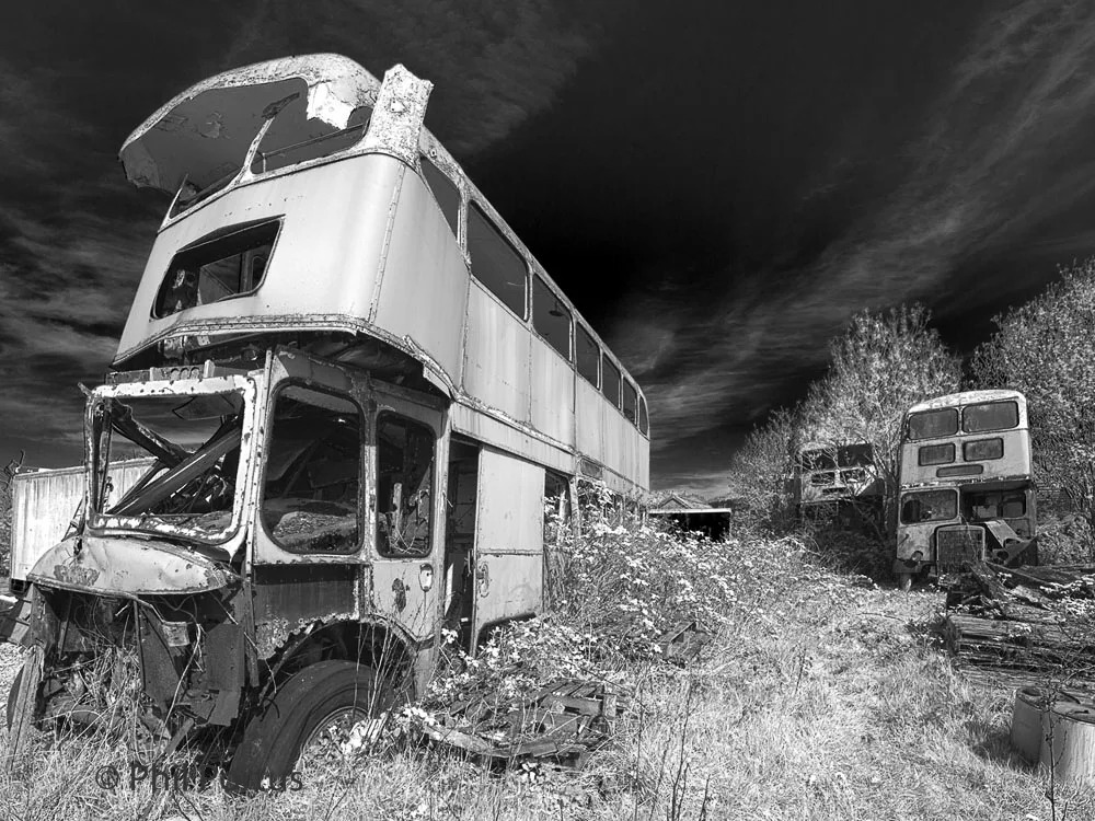 A derelict double-decker bus sits in overgrown weeds under a dramatic black and white sky.