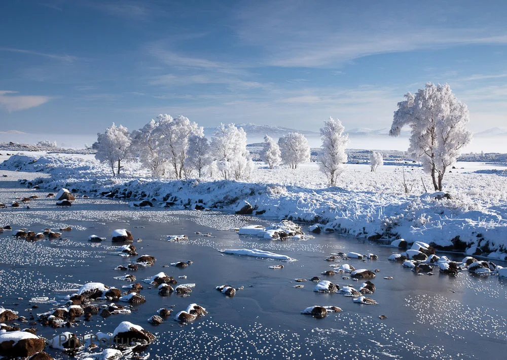 A partially frozen stream flows through a snowy landscape with frost-covered trees and a bright blue sky.