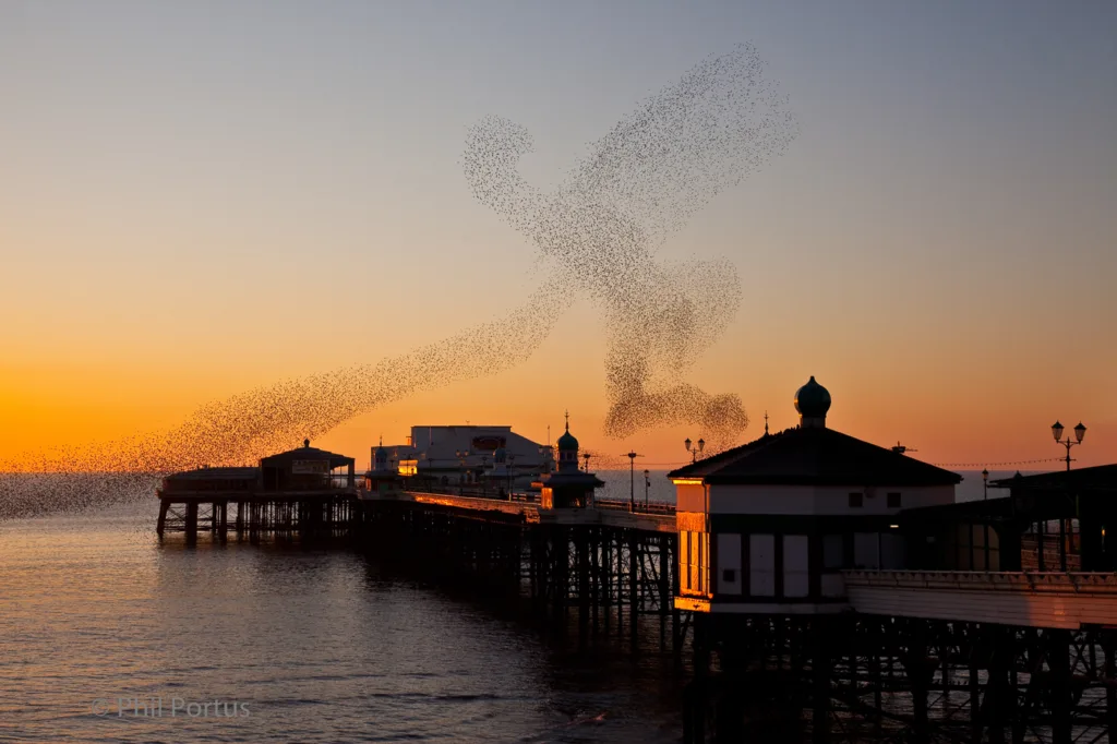 A flock of birds flies across a sunset sky over a pier and building with ornate details.