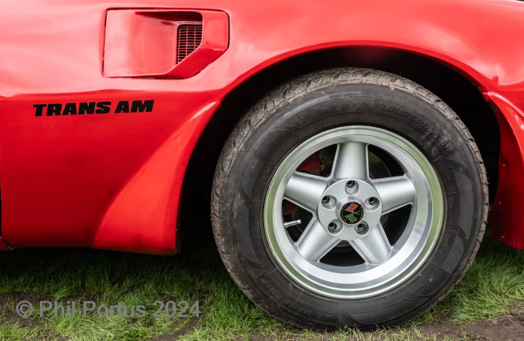 A red car's front fender and wheel are visible against a grassy background.