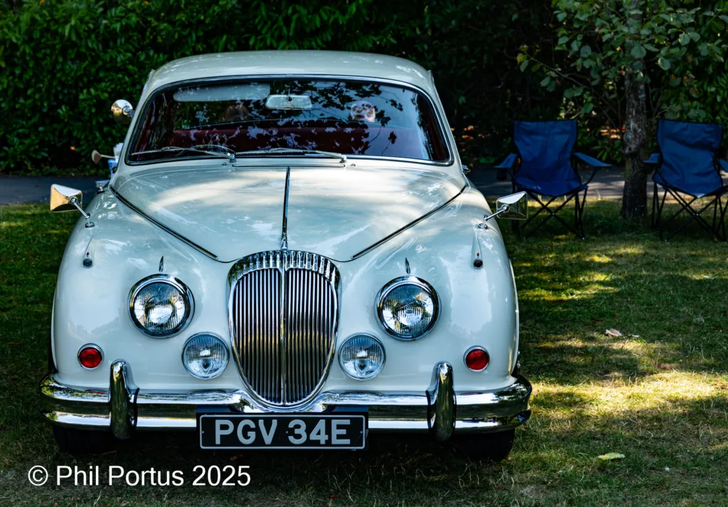 A classic light-colored car with a chrome grill and round headlights sits on grass.